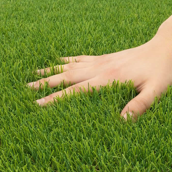高密度人工芝アメイジングターフ