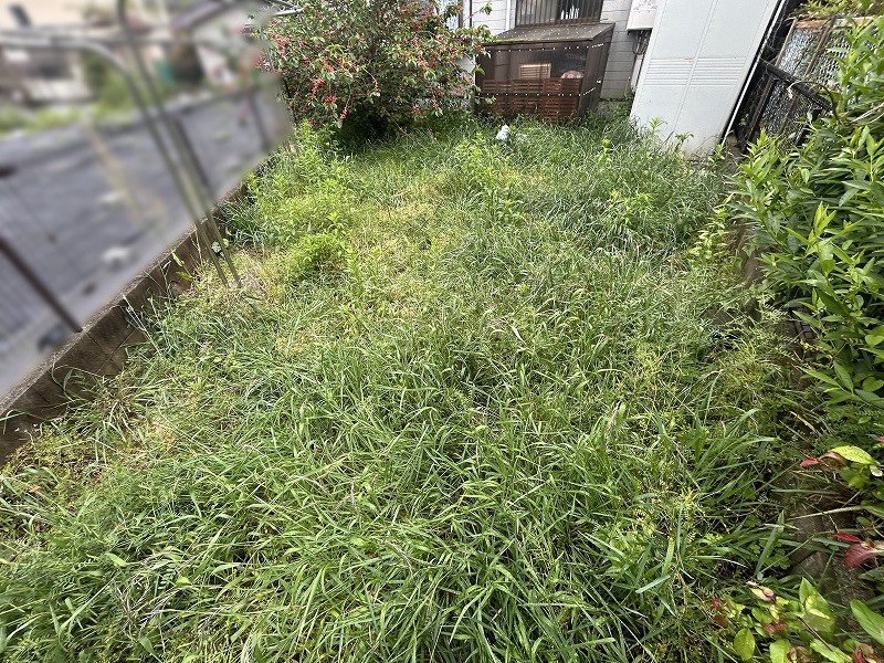 【大阪】南河内郡 植栽と人工芝のドッグラン施工
