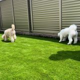 【京都】京田辺市 フェンスで囲まれた人工芝ドッグラン