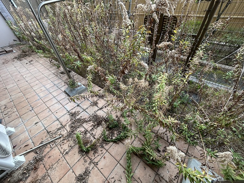 【大阪】茨木市 雑草が生い茂るマンション専用庭を人工芝に