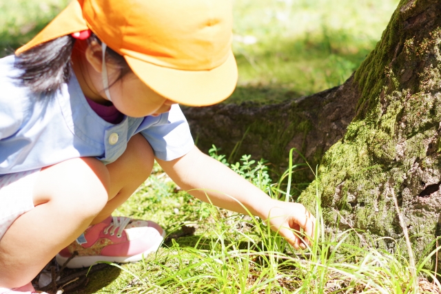 人工芝導入前に知っておきたいデメリットと対策