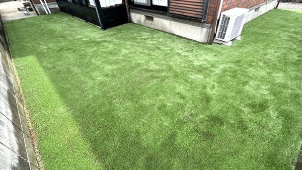 【兵庫】神戸市 ワンちゃんが安心して遊べる人工芝ドッグラン
