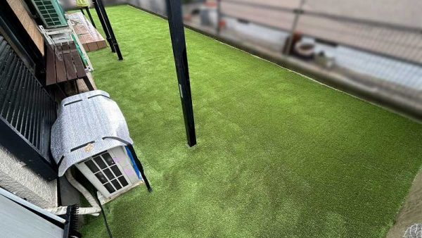 【京都】精華町 広い天然芝のお庭をアメイジングターフに